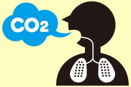 生き物はCO2を排出