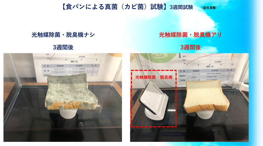 食パンによる真菌(カビ菌)試験の写真