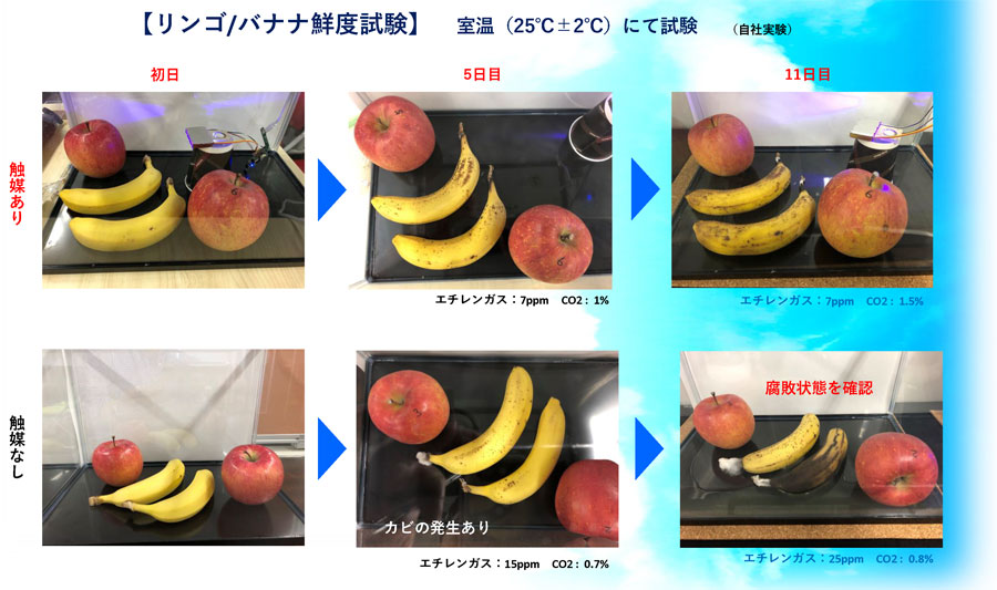光触媒